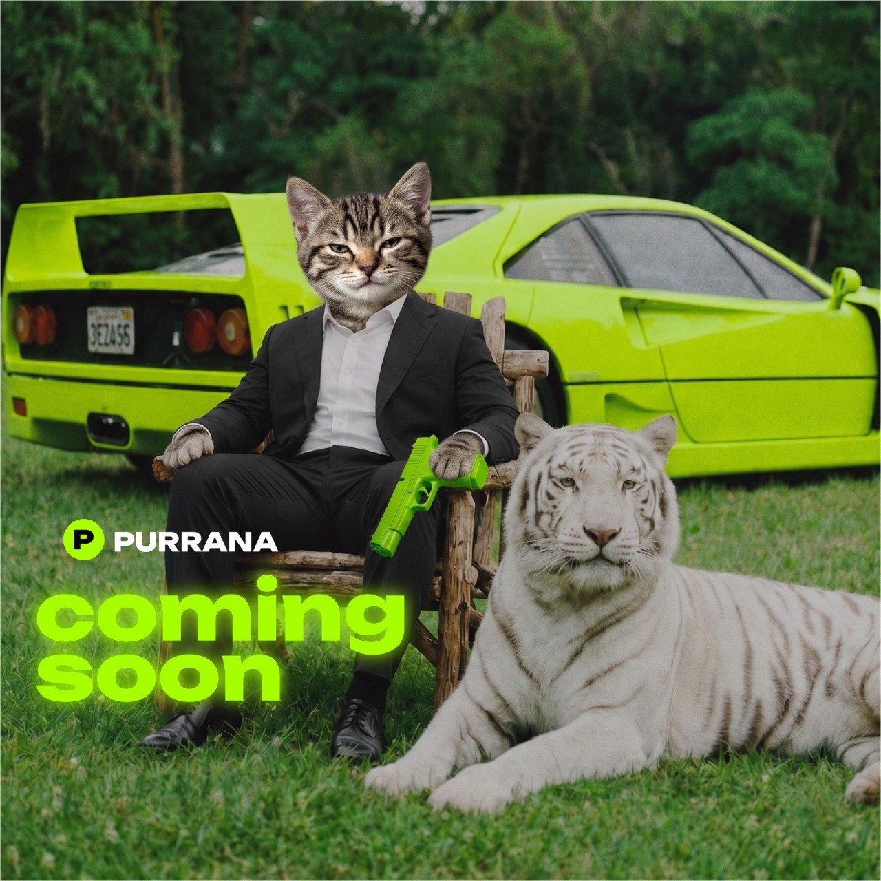Purrana kitten in a suit sitting beside a neon-green sports car and a white tiger with 'coming soon' text