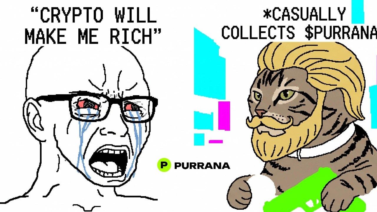 Crying wojak next to a bearded chad Purrana cat casually collecting $PURRANA meme