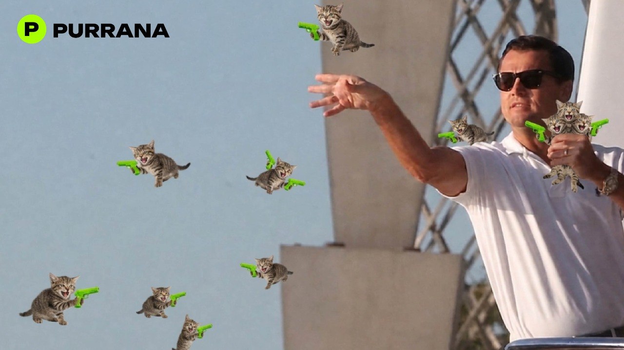 Wolf of Wall Street throwing Purrana kittens meme