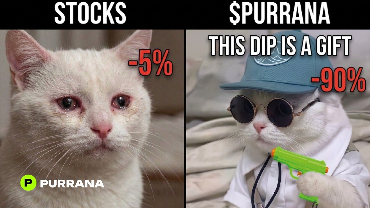 Comparison meme showing a five-percent stock dip versus a ninety-percent Purrana dip described as a gift